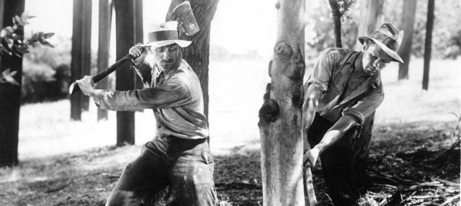 Notre pain quotidien, film de King Vidor, avec Karen Morley, Tom Keene, Barbara Pepper