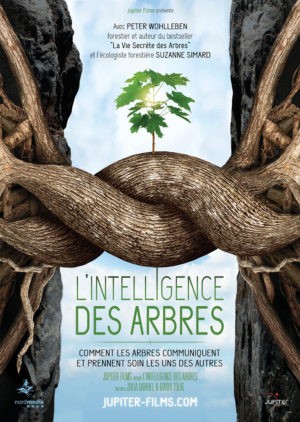 Julia Dordel et Guido Tölke, L'Intelligence des arbres (affiche)