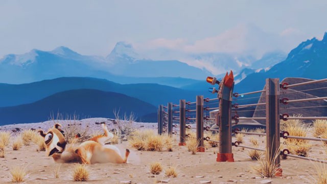 Les amusants déboires d’un pauvre lama argentin