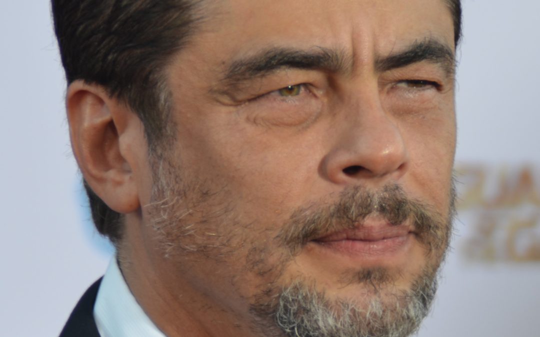 Cannes 2018 : Benicio del Toro, président du jury Un Certain Regard