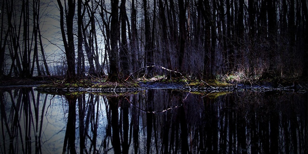 6 mai 1897 : connaissez vous « La Bohème » ? Non, l’autre !