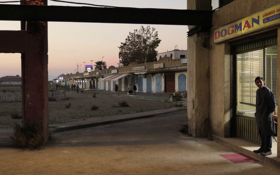 Interview. Matteo Garrone et son film « Dogman » : bonté, cruauté et torture