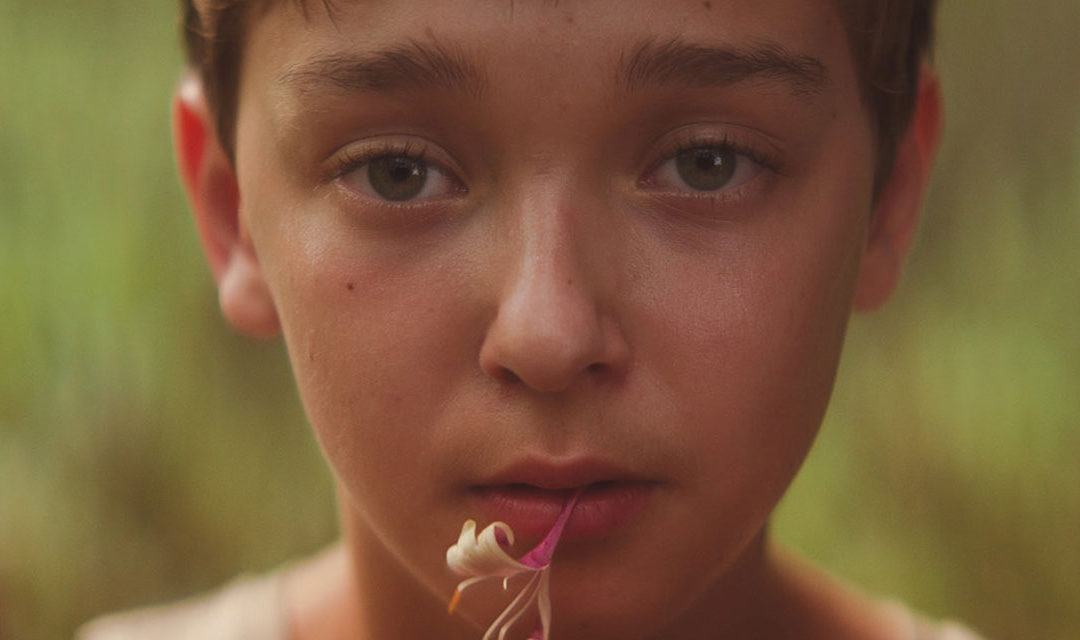 « The Strange Ones » : film étrange