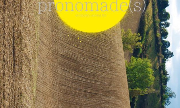 Pronomade(s) en Haute-Garonne, Centre National des Arts de la Rue et de l’Espace Public, recrute un régisseur du lieu de résidence (h/f)