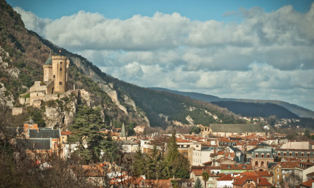 L’Estive, Scène nationale de Foix et de l’Ariège, recrute son directeur (h/f)