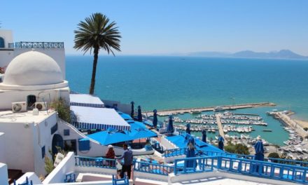 « Les Volponi » d’Aurélia Gantier : le drame, à suivre, de la fin d’un monde