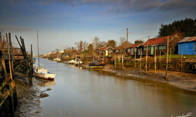 Charente-Maritime – L’association Créa recrute un agent polyvalent projectionniste (h/f)