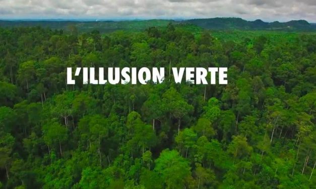 “L’Illusion verte” : un documentaire partial contre le greewashing