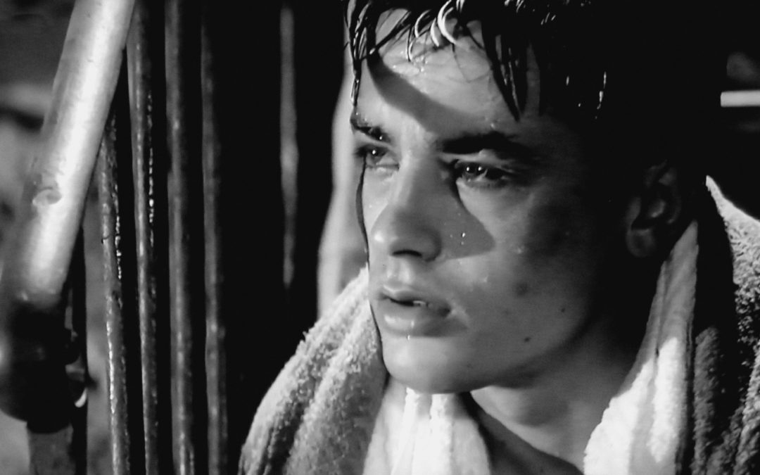 Alain Delon, Palme d’or d’Honneur du 72e Festival de Cannes