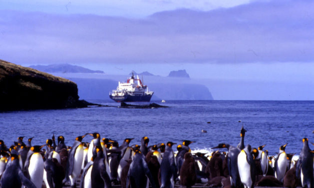 Appel à candidatures « Atelier des ailleurs 5 », résidence de création dans les Terres australes françaises