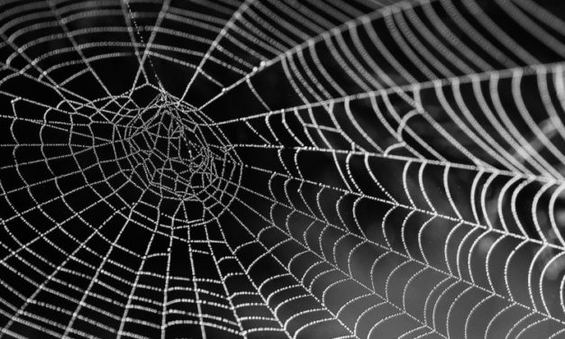 3 avril 1913 : Roussel vous attire dans sa toile