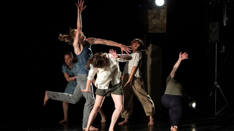 Into Outside Beaver Dam Company (c) Christian de Héricourt 2