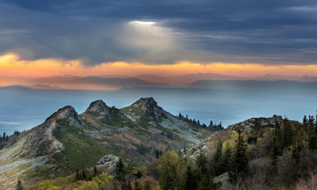 Appel à candidatures / Résidences d&rsquo;artistes sur des itinérances / Parcs du Massif central