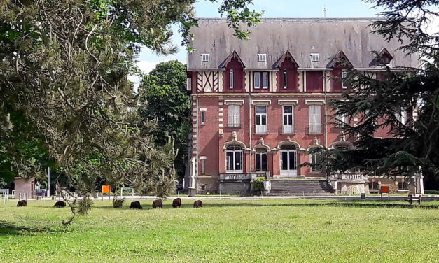 La Cie Vertical Détour / Le Vaisseau recrute un coordinateur culturel et chargé de communication (h/f)