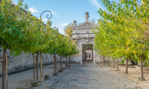Appel à candidatures : résidences 2021 à la Chartreuse de Villeneuve-les-Avignon
