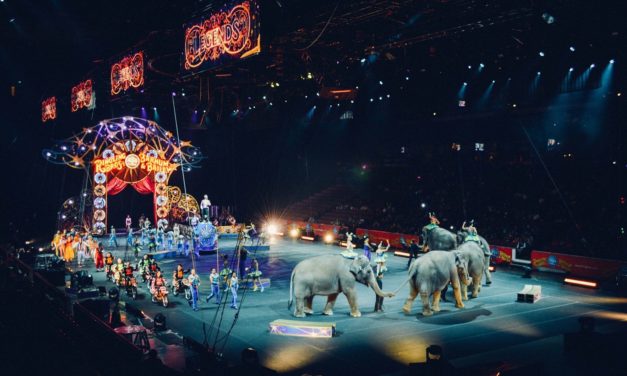 Animaux dans le cirque : faut-il se libérer de cet héritage ?