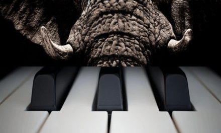 Commerce de l’ivoire : l’Europe durcit ses règles et ébranle le secteur musical