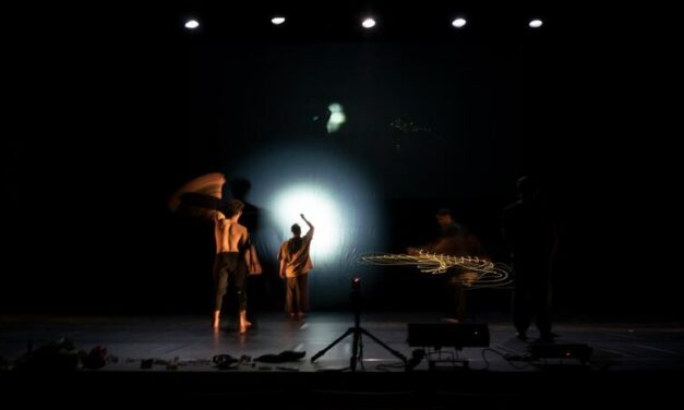 La Compagnie Sylvie Guillermin recrute un administrateur et un chargé de diffusion (h/f)