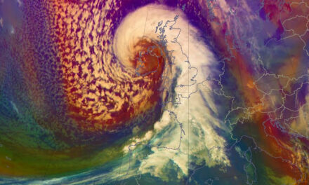 Marie Vialle se promène dans le jardin de Pascal Quignard